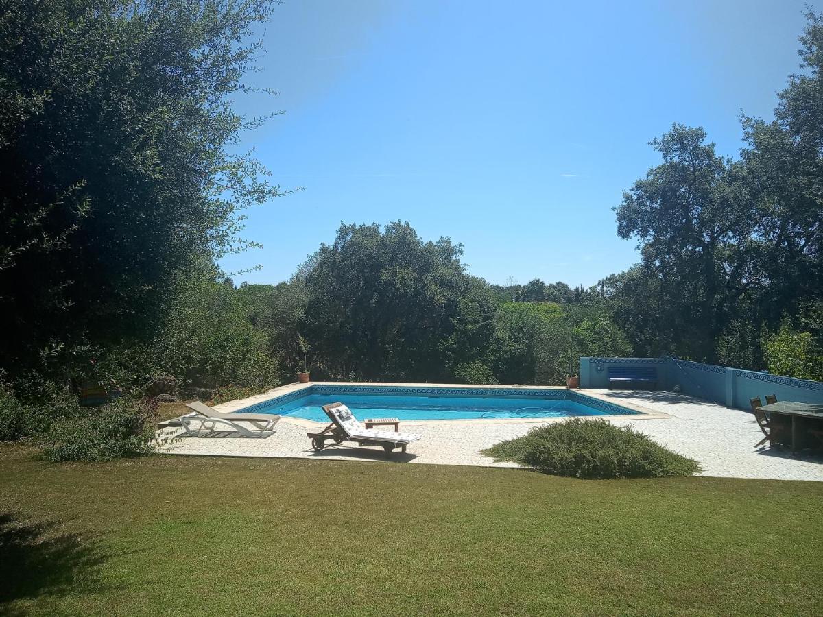 Sotogrande - Estancia En Plena Naturaleza - Abril Exterior photo