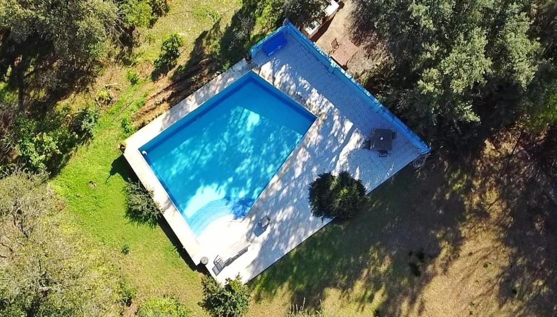Sotogrande - Estancia En Plena Naturaleza - Abril Exterior photo