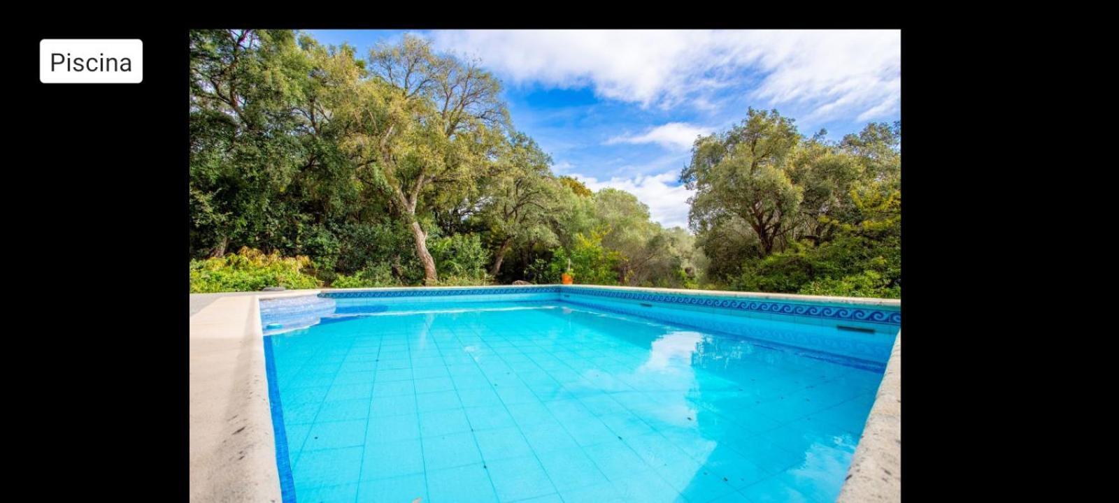 Sotogrande - Estancia En Plena Naturaleza - Abril Exterior photo