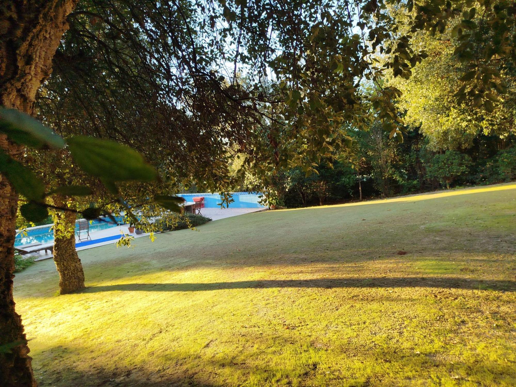 Sotogrande - Estancia En Plena Naturaleza - Abril Exterior photo